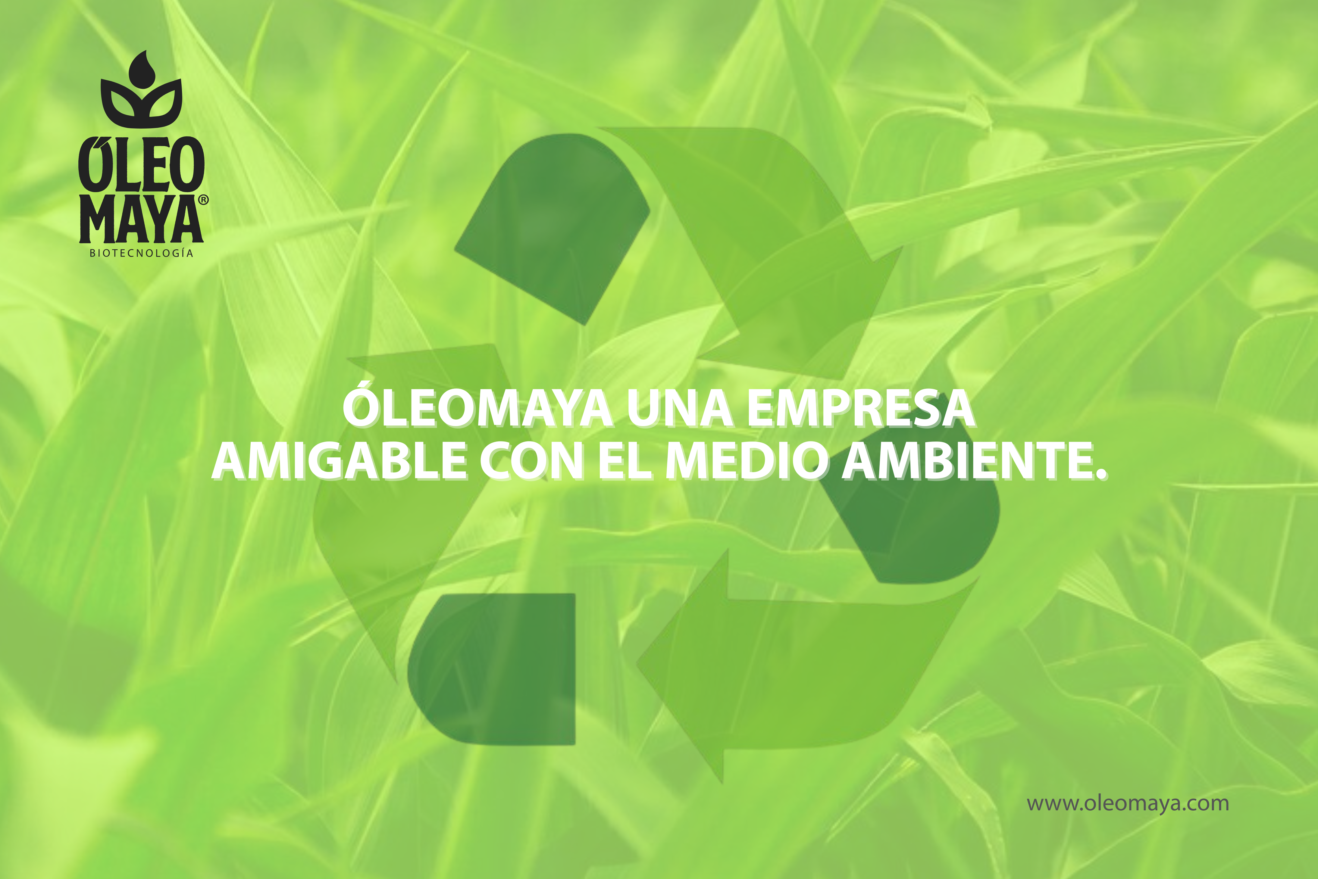 Getting Started with